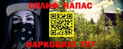 амф Севастополь
