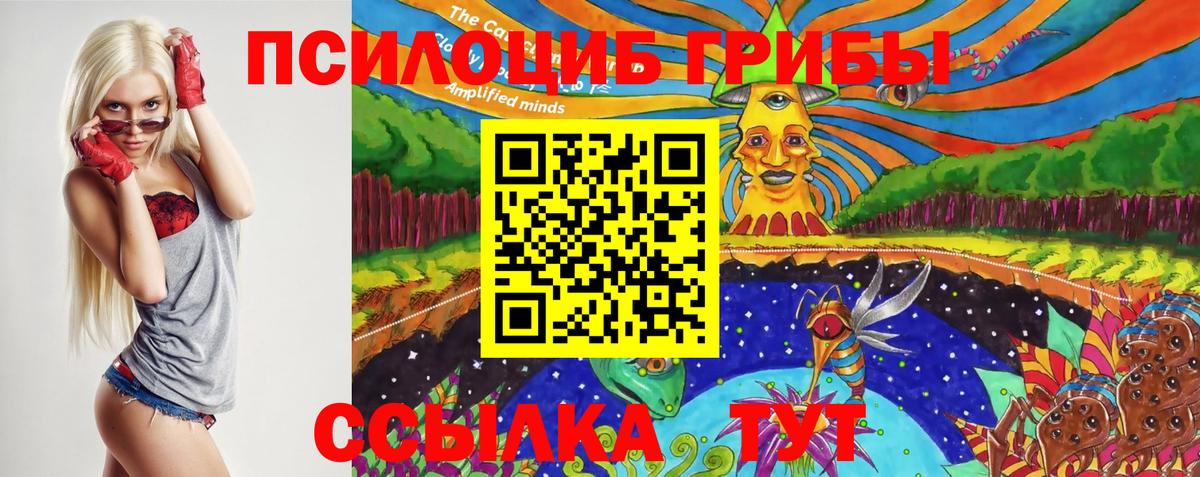 Галлюциногенные грибы MAGIC MUSHROOMS  Вход с VPN  Сухой Лог 